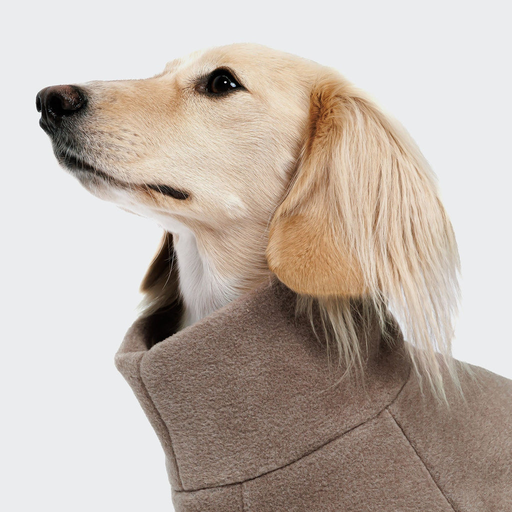 Dachshund Fleece Sweater Cornwall Toffee product image