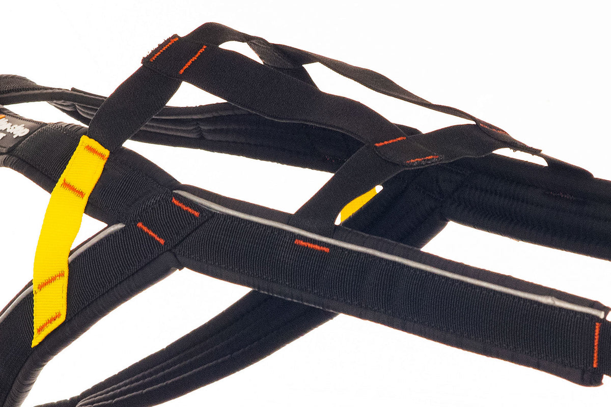 Nansen stick harness product image