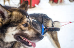 Nansen stick harness product image