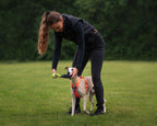 Obedience vest women's product image