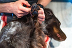 Paw care product image