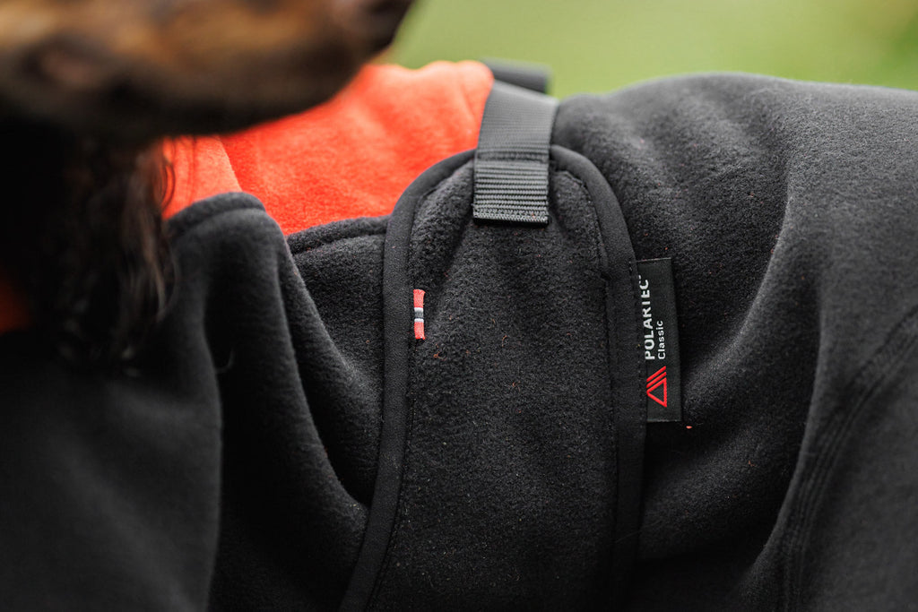 Phoenix dog jacket product image