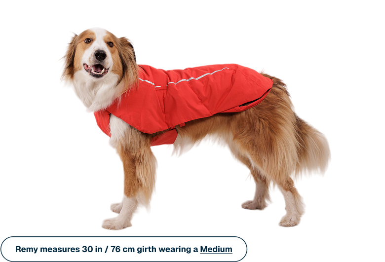 Powder Hound™ Waterproof Insulated Vest product image