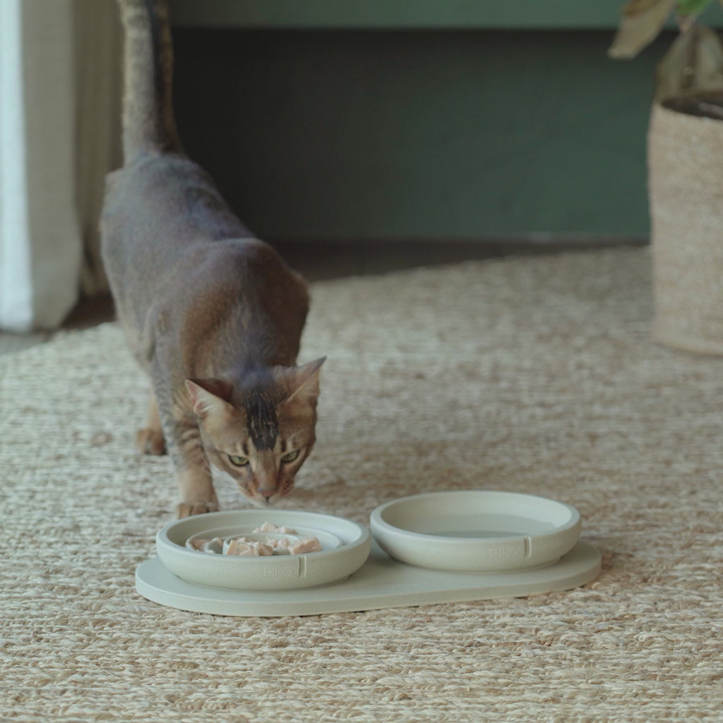 Slow Feeder Bowl for Cats product video
