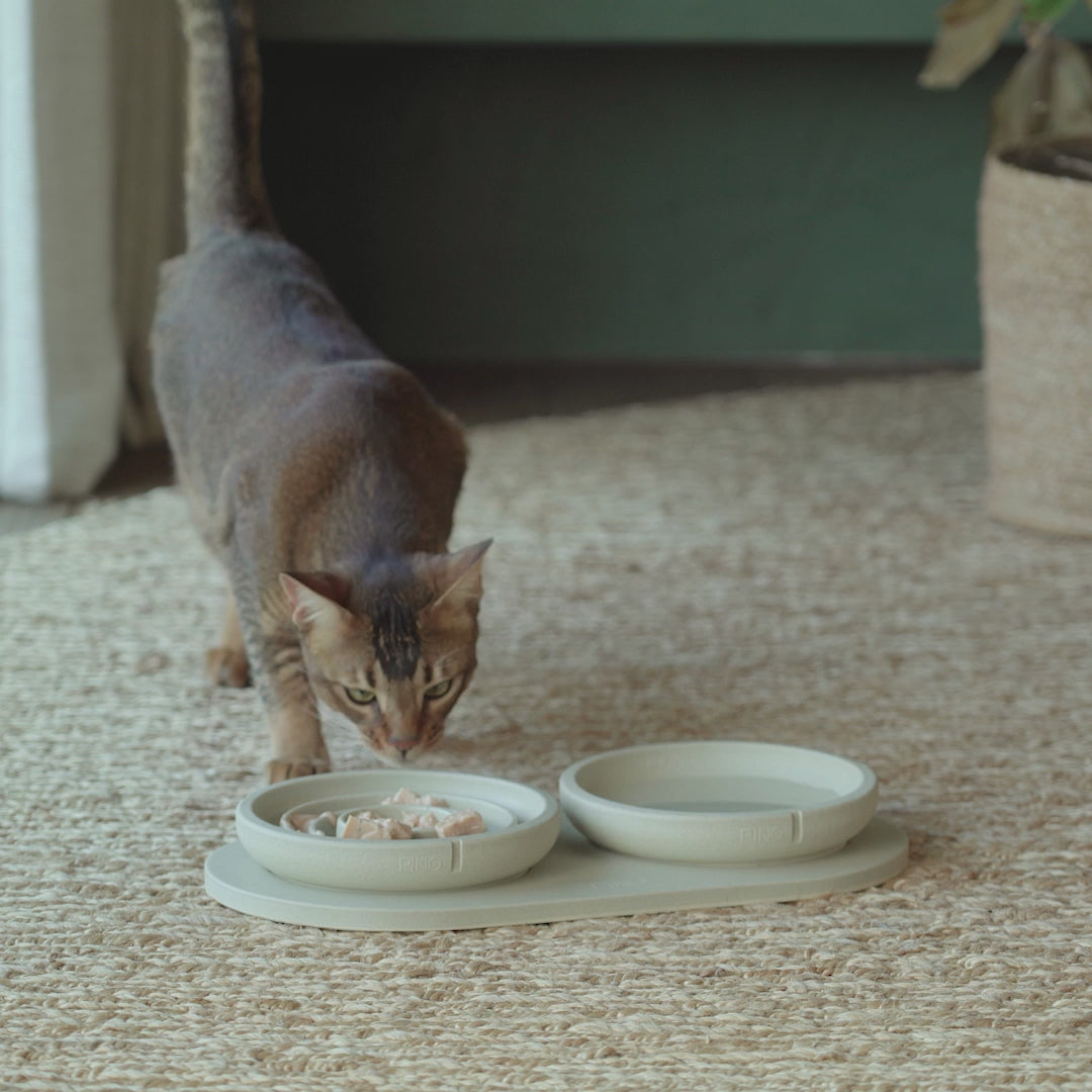 Slow Feeder Bowl for Cats product video