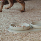 Slow Feeder Bowl for Cats product video