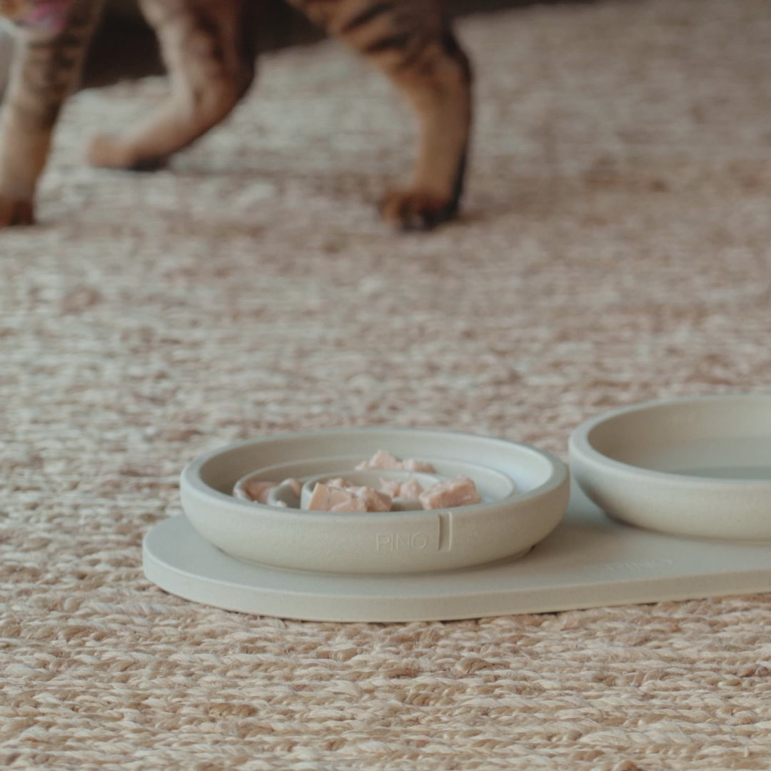 Slow Feeder Bowl for Cats product video