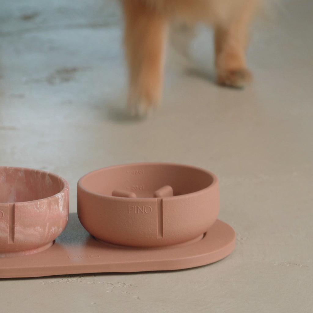 Slow Feeder Bowl product video