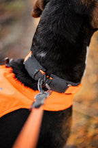 Protector collar product image