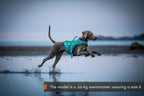 Protector life jacket product image