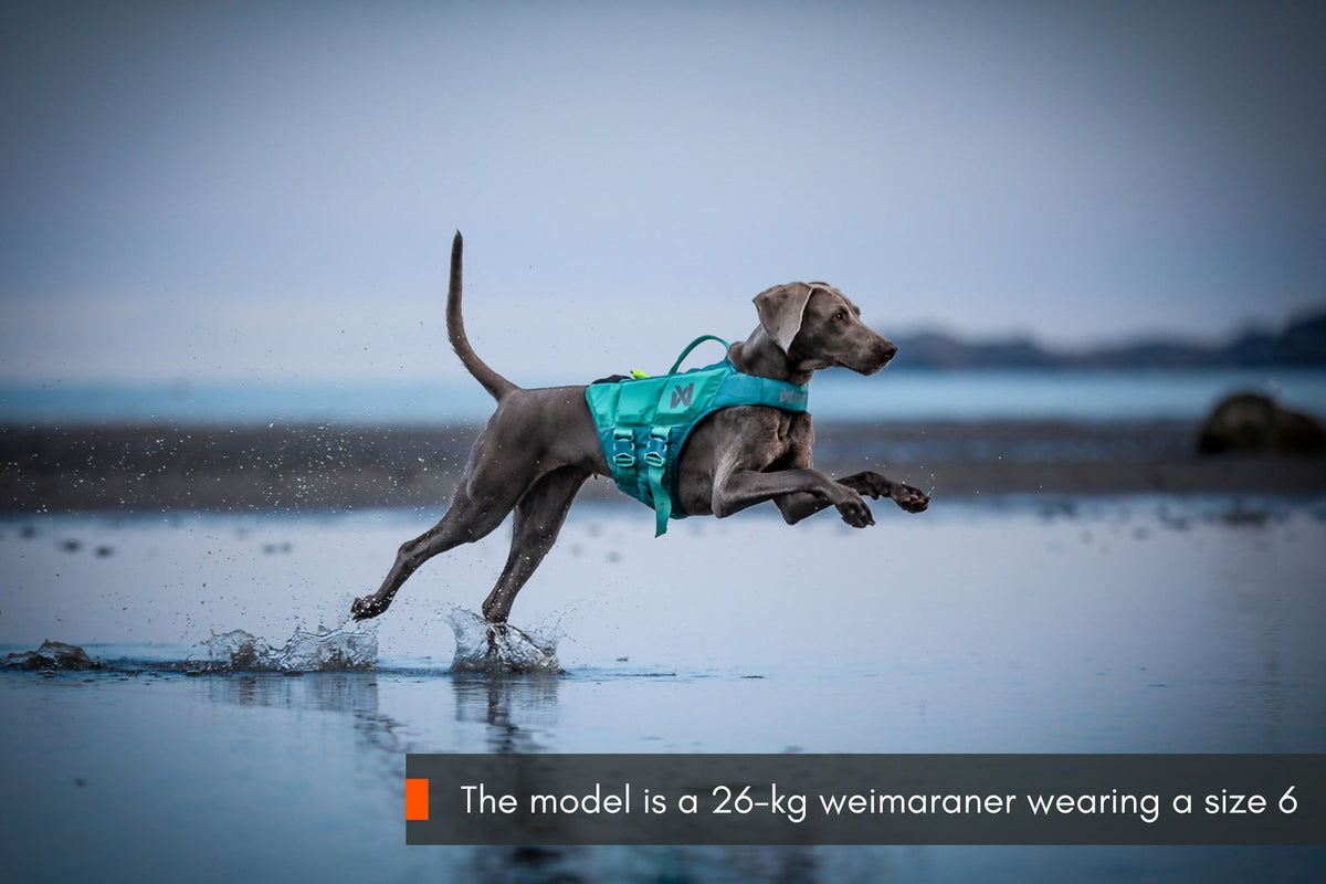 Protector life jacket product image