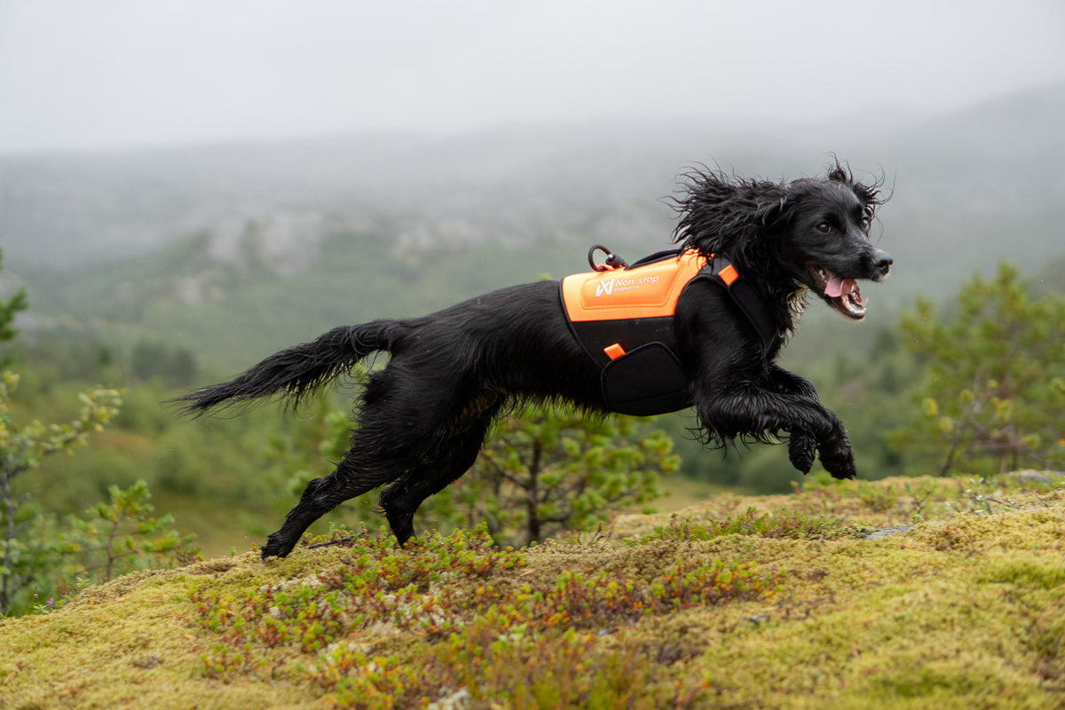 Protector neoprene vest product image