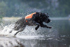 Protector neoprene vest product image