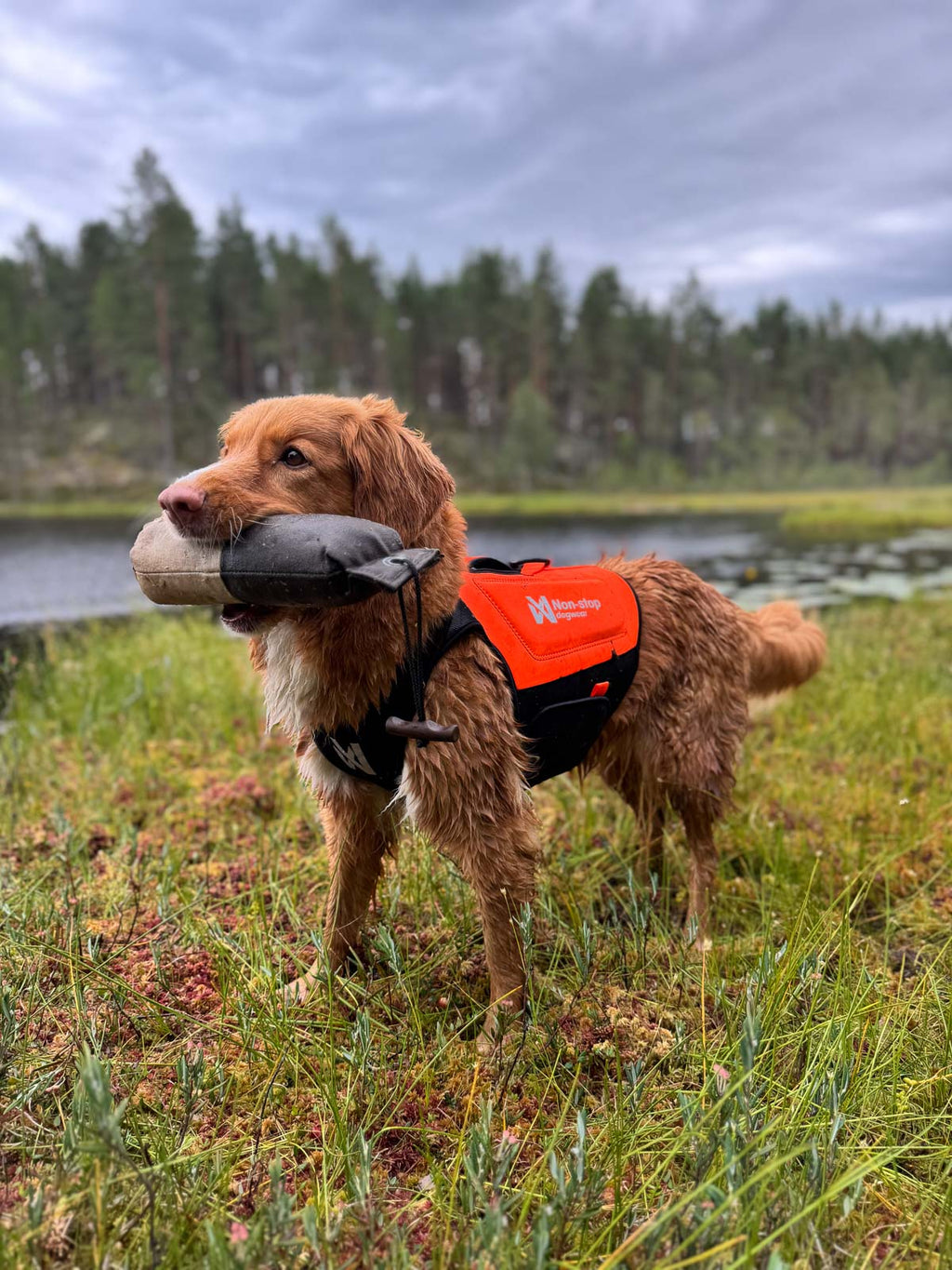 Protector neoprene vest product image