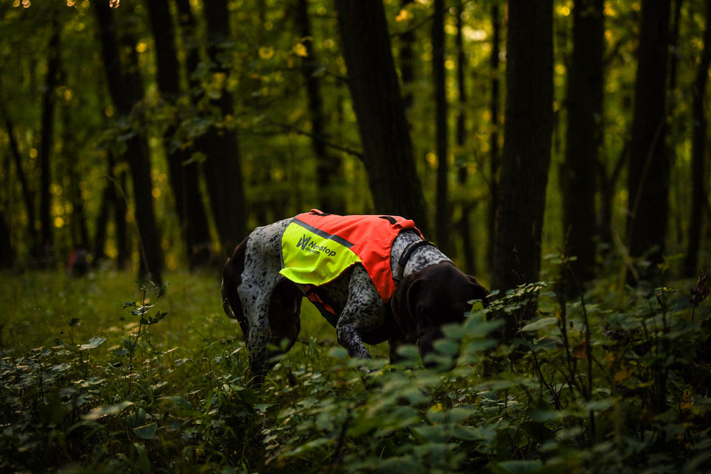 Protector vest 2.0 product image