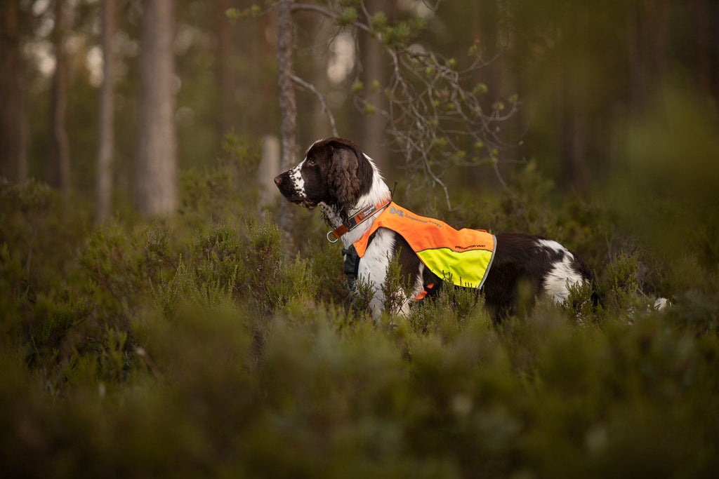 Protector vest product image