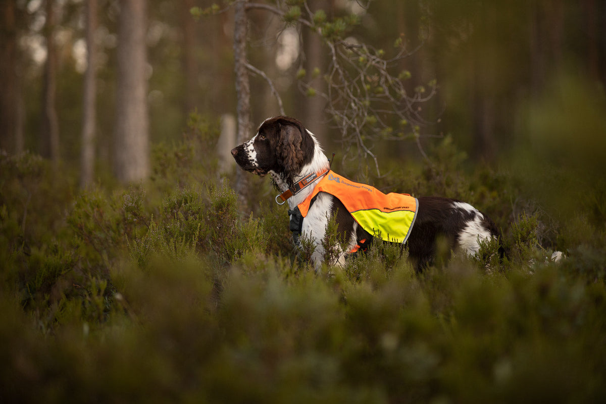 Protector vest product image