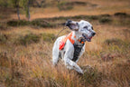 Protector vest product image