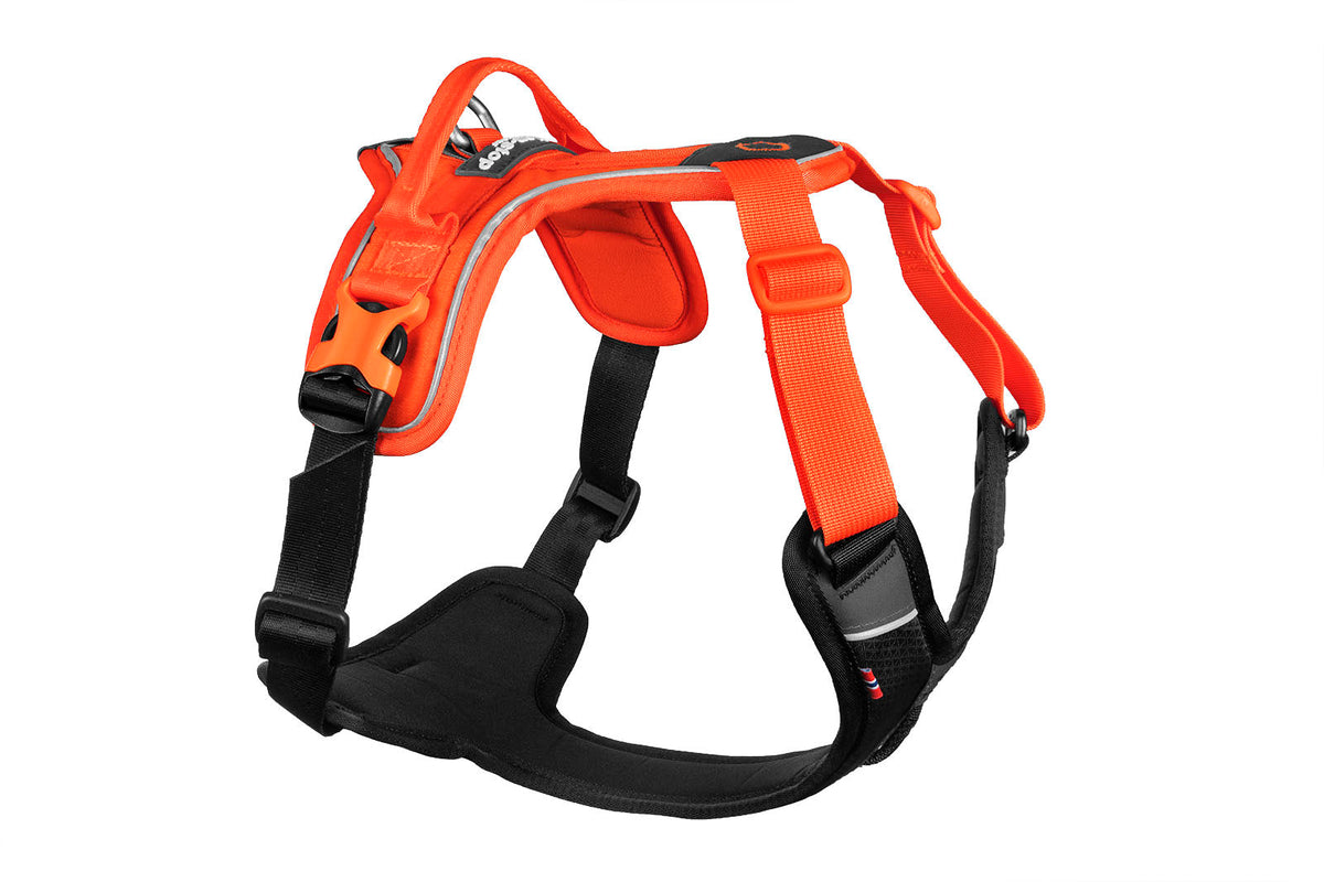 Ramble harness product image