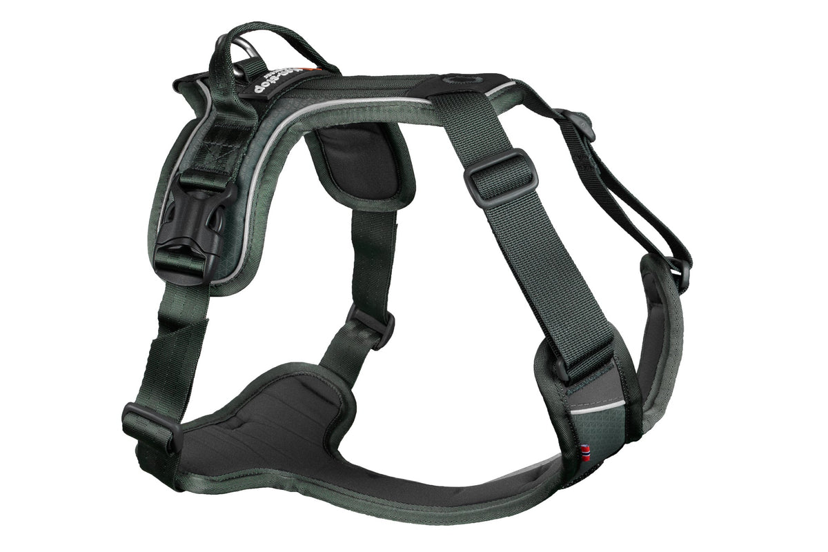 Ramble harness product image