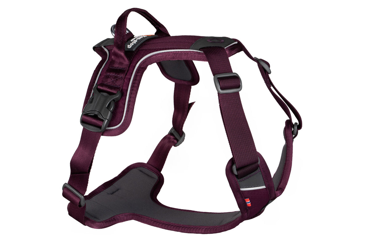 Ramble harness product image