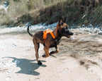 Ramble harness product image