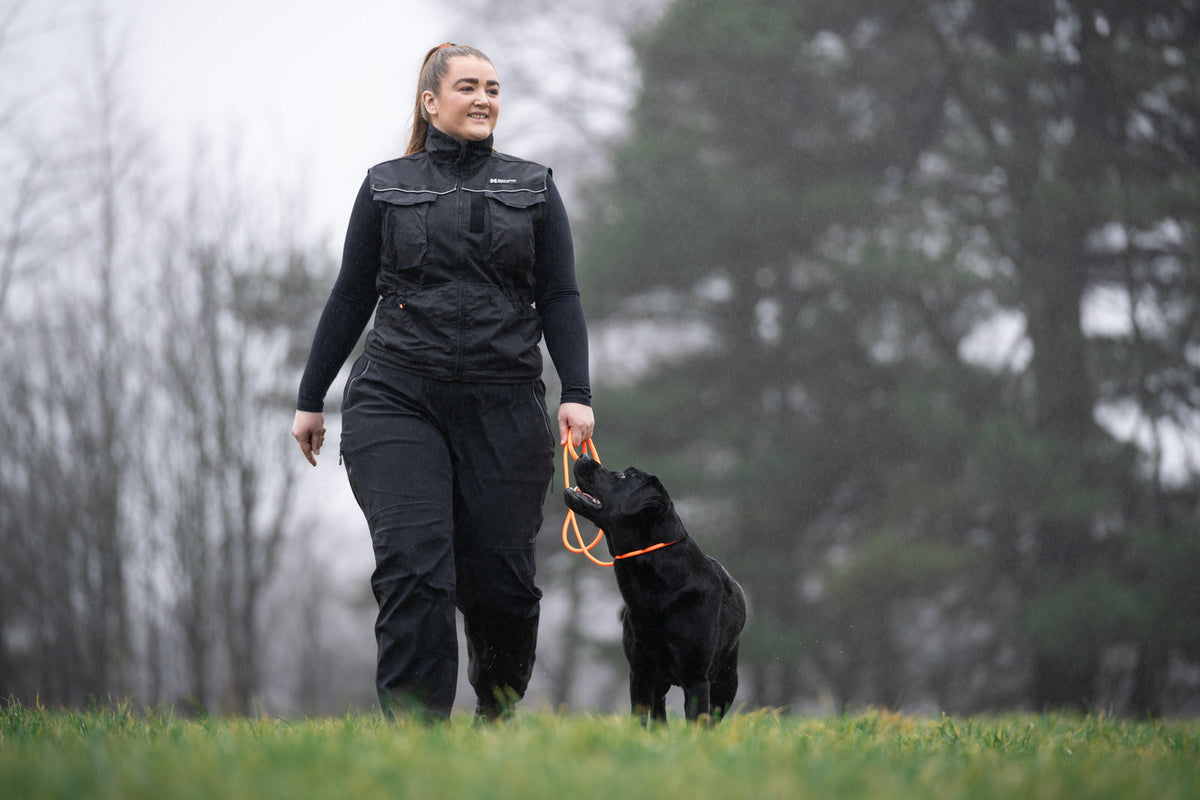 Retriever leash product image