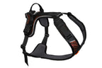 Rock harness product image