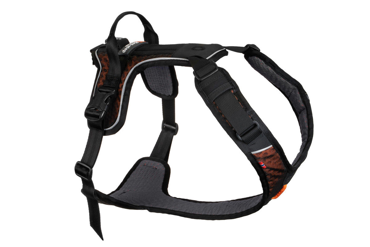 Rock harness product image