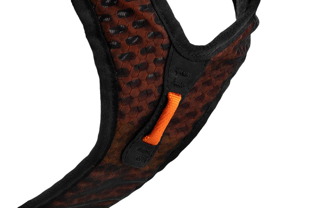 Rock harness product image