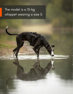 Rock harness long product image