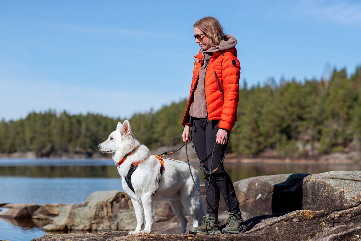 Rock leash product image
