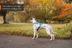 Rush harness product image