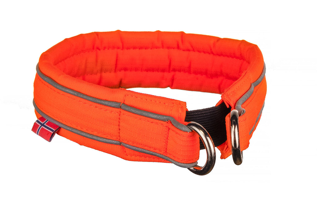 Safe collar product image