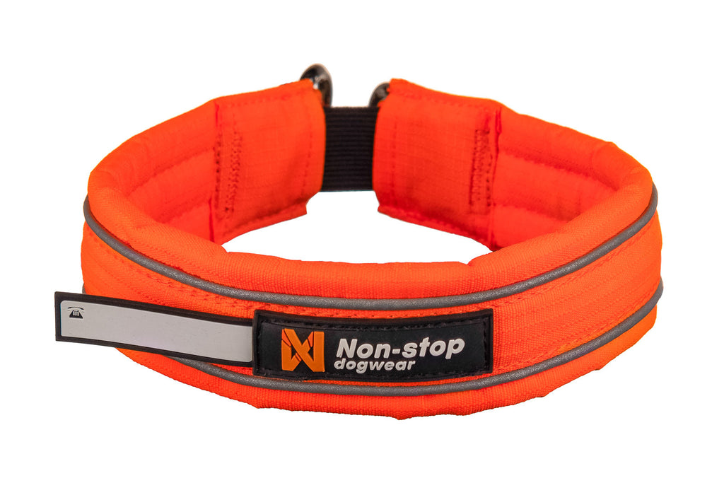 Safe collar product image