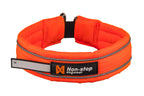 Safe collar product image