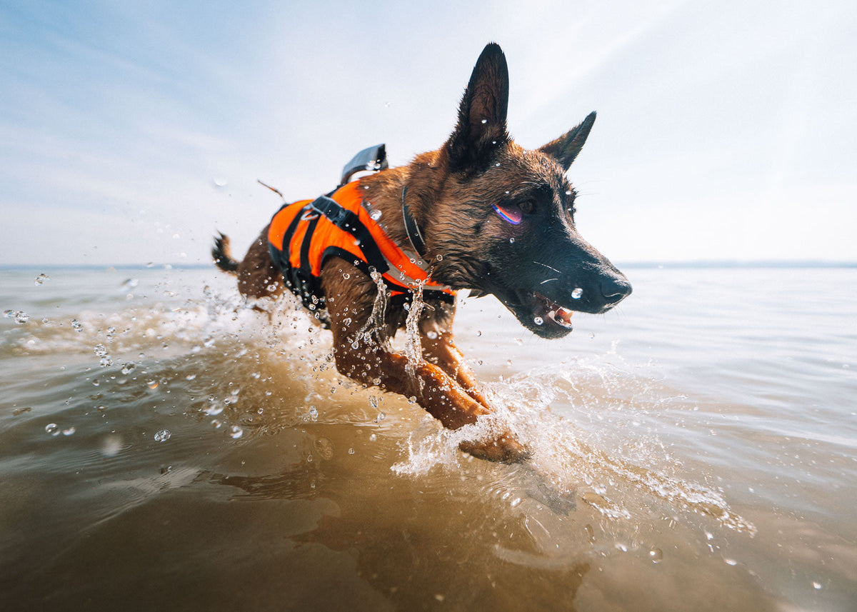 Safe life jacket 2.0 product image