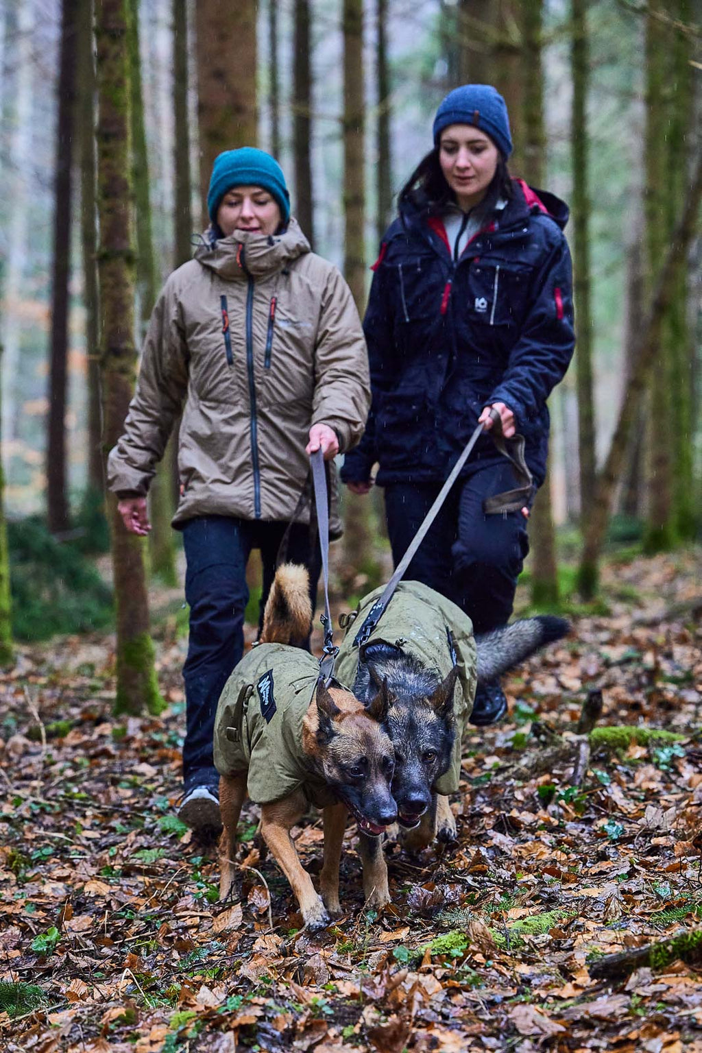 Solid leash WD product image