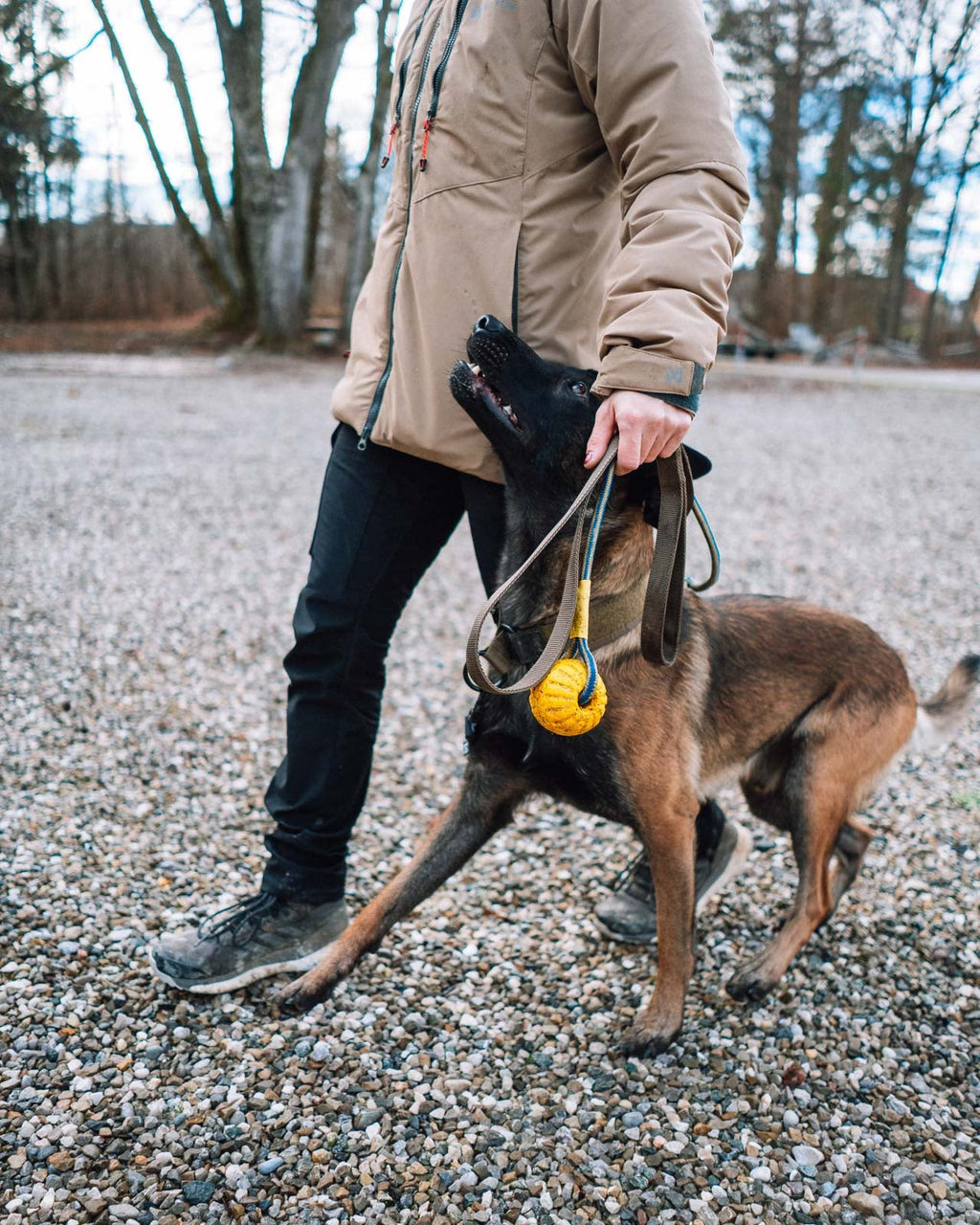 Solid leash WD product image