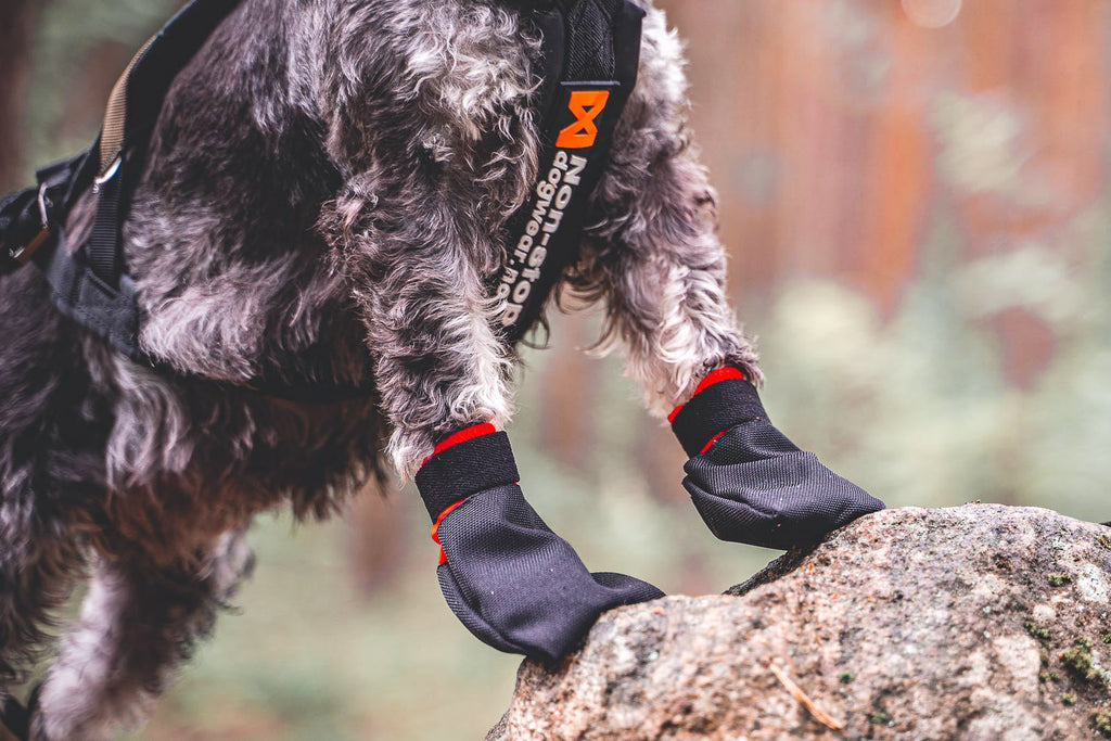 Solid socks product image