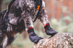 Solid socks product image