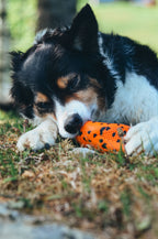 Dog throw toy product image