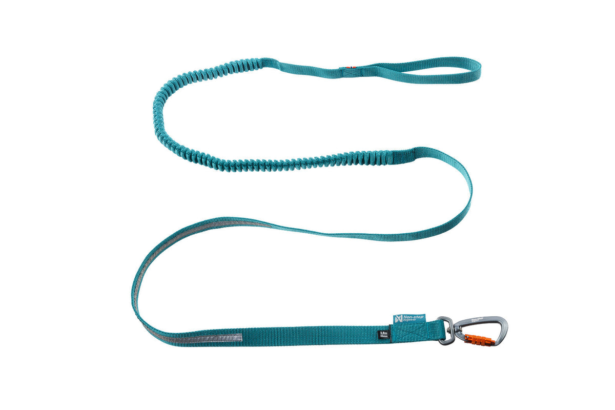 Touring bungee product image