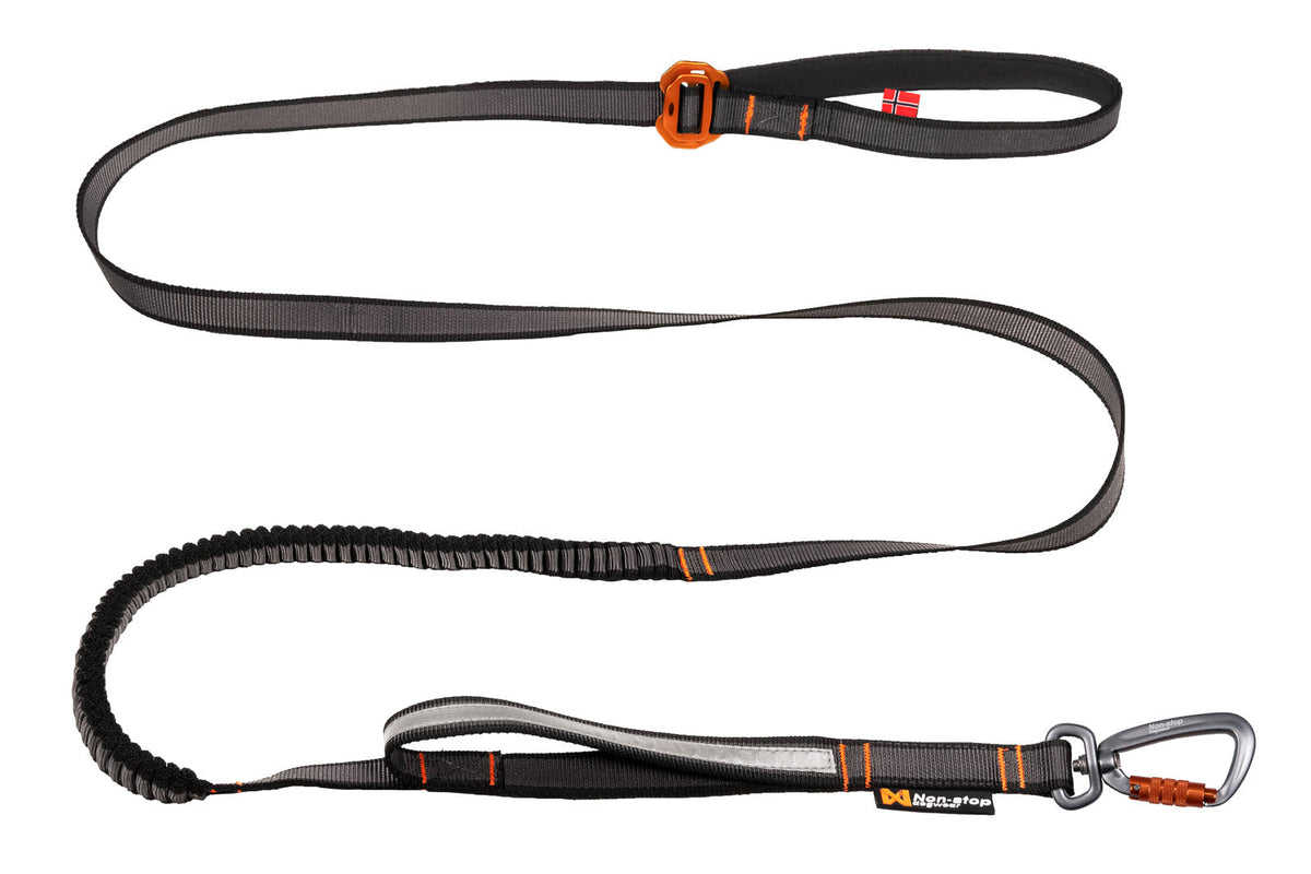 Touring bungee adjustable product image