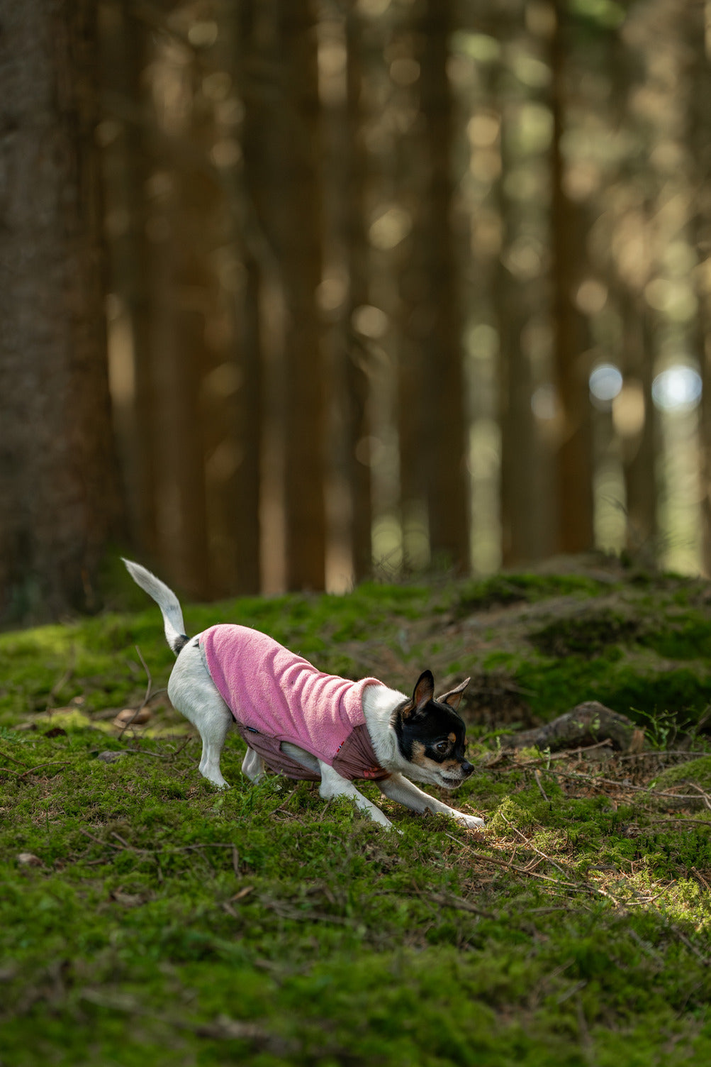 Trail quest fleece pullover product image