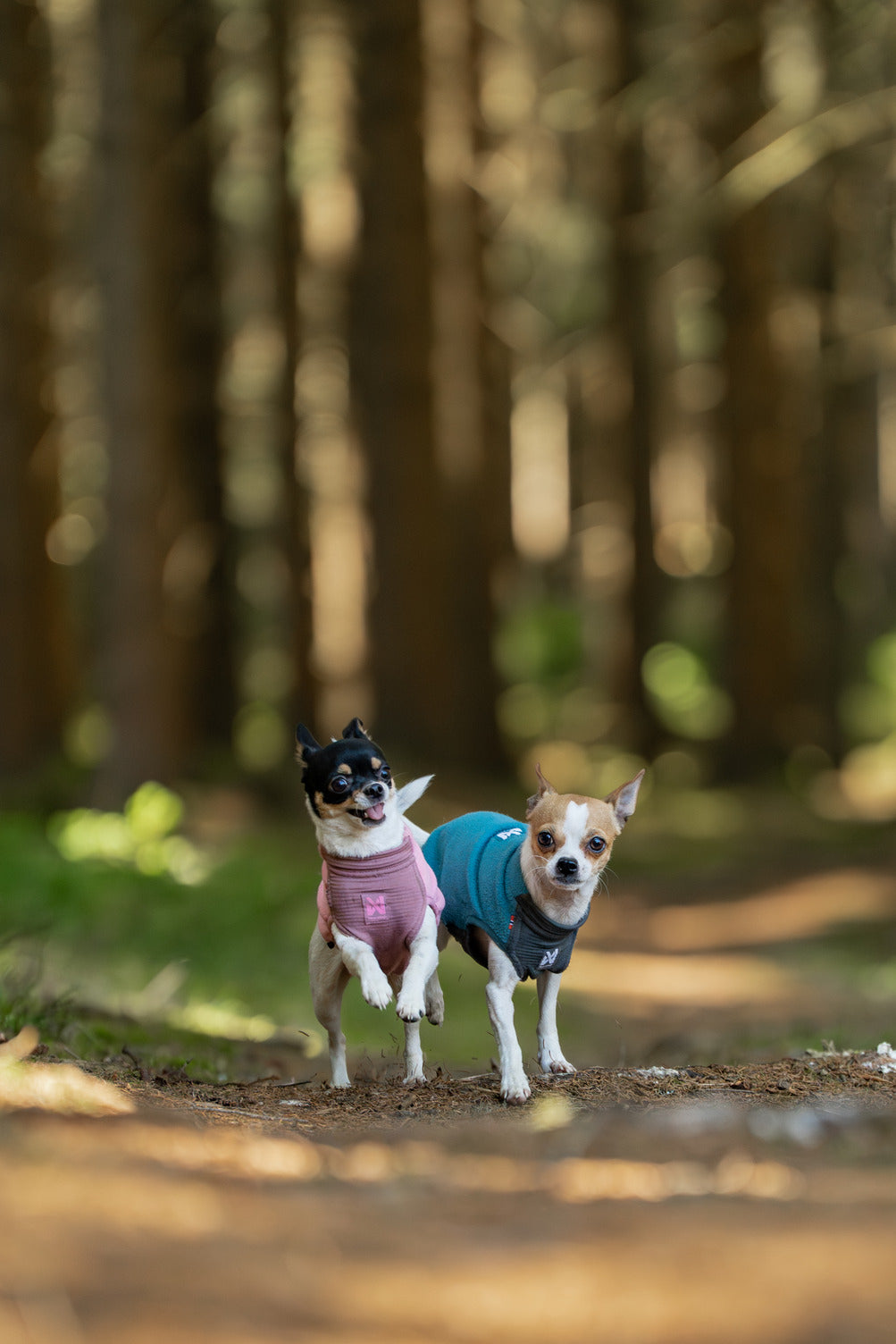 Trail quest fleece pullover product image