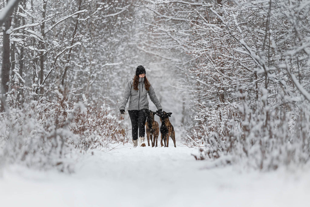 Trail isolator+ jacket women's product image