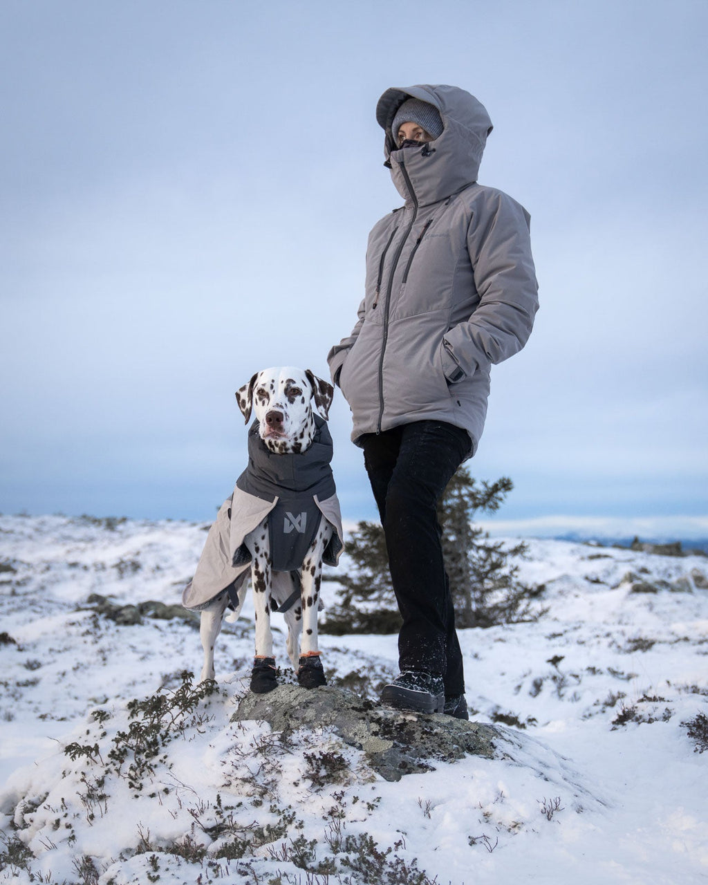 Trail isolator+ jacket women's product image