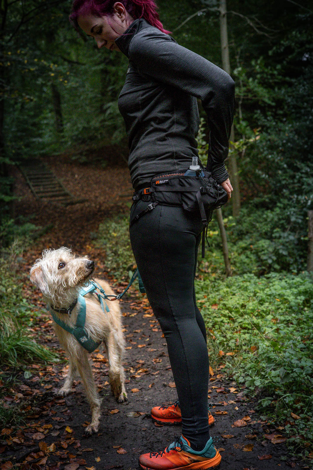 Trail light belt product image