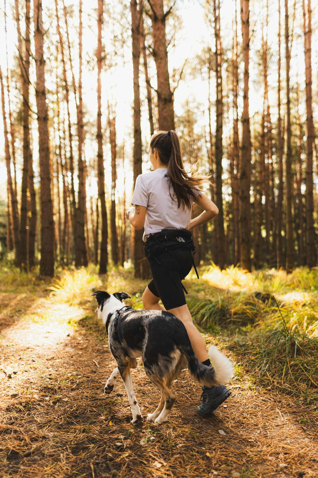 Trail light belt product image